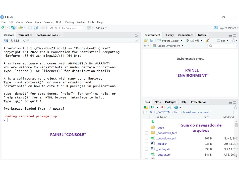 Tela do RStudio